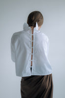 Iceberg shirt